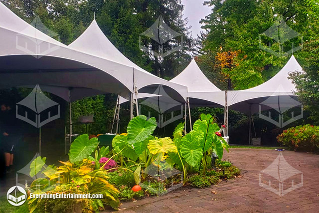 Multiple High-Peak Tents in a Backyard Multiple high peak tents in a backyard with lots of greenery around.