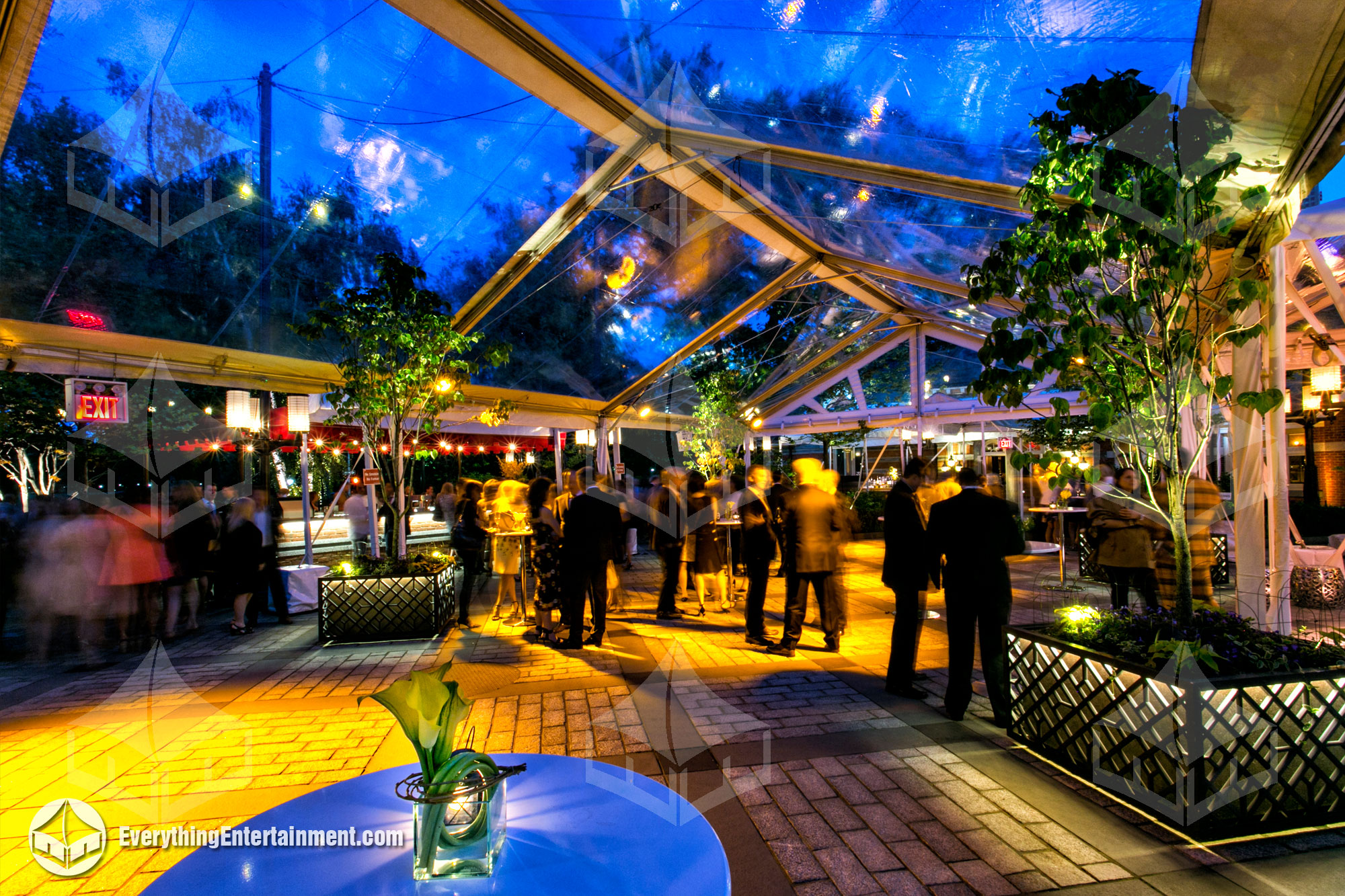 clear-top-frame-tent-night-lighting Clear top frame tent at night with amber lighting under a dark blue sky